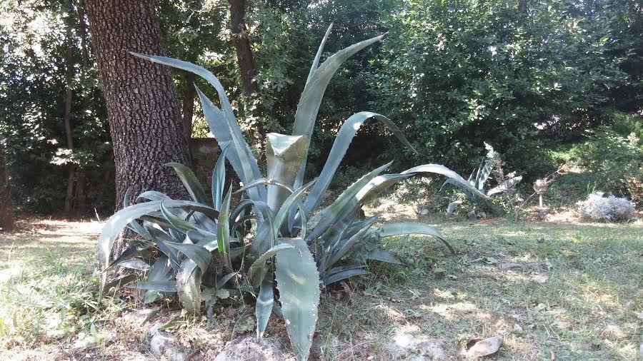 Apartments Green Garden Opatija Room photo